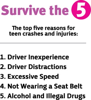 Survive the 5